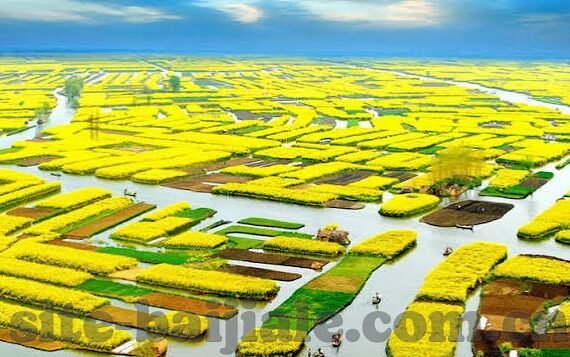 20世纪世界杯中国-20世纪世界杯中的中国身影